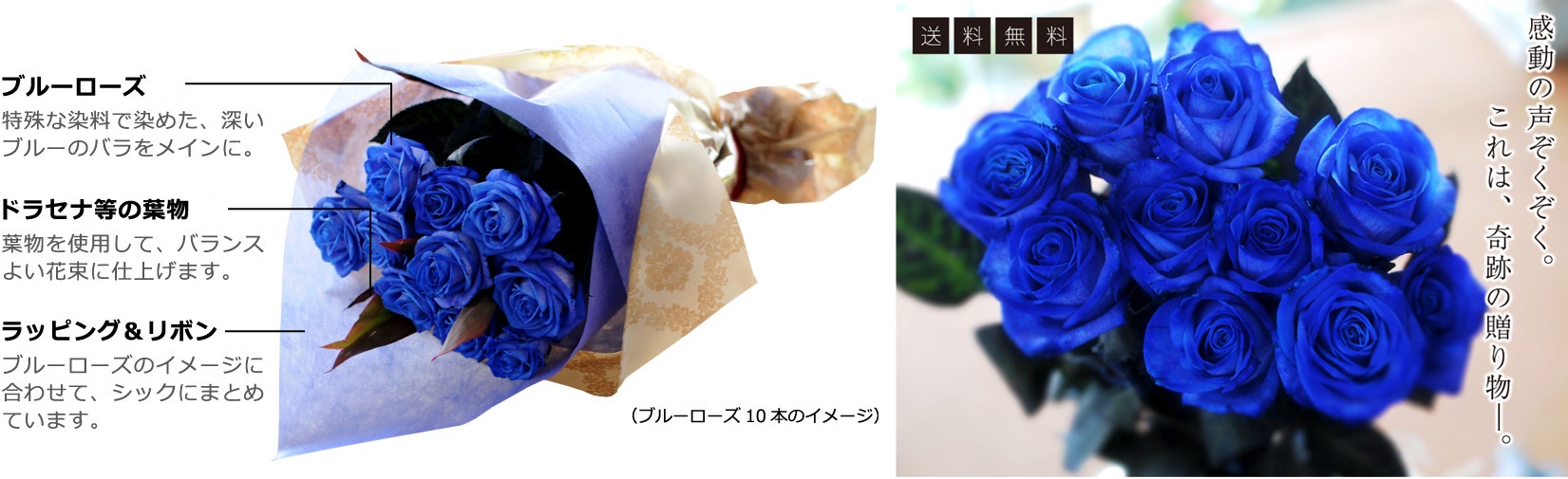 エーデルワイス