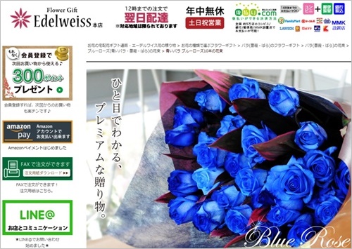 エーデルワイスHP